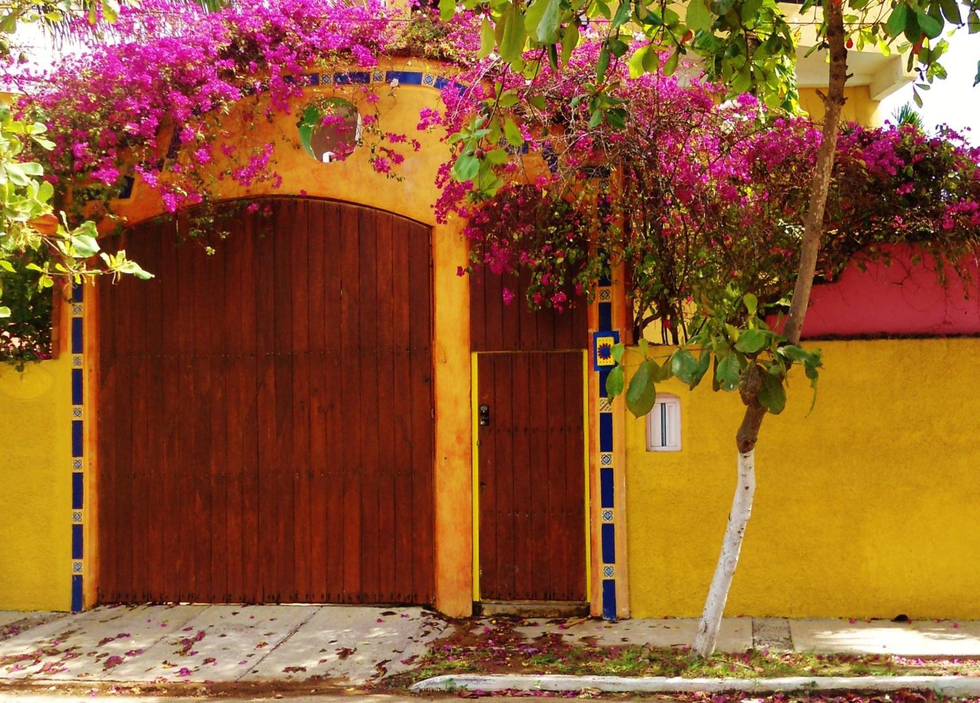 El Palmar Beach Tennis Resort San Patricio Melaque Exterior photo